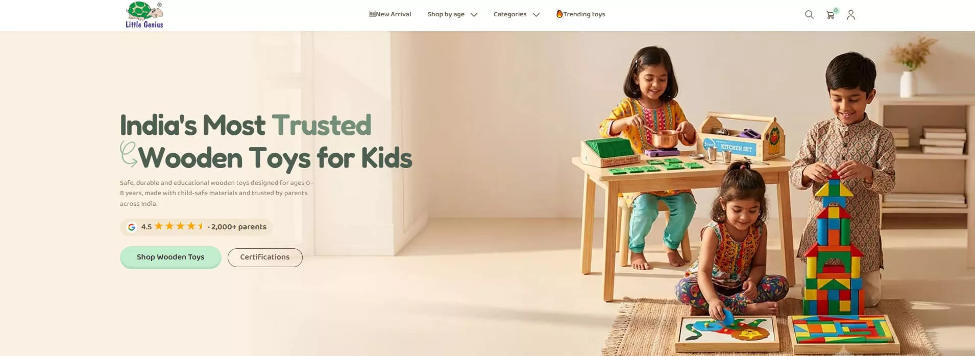 Little Genius Toys Wooden Educational Toy Manufacturer in India